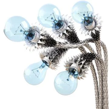 Lightbulbs Stock Illustration