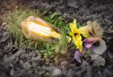 LIGHTED BULB ON THE GROUND Stock Photos