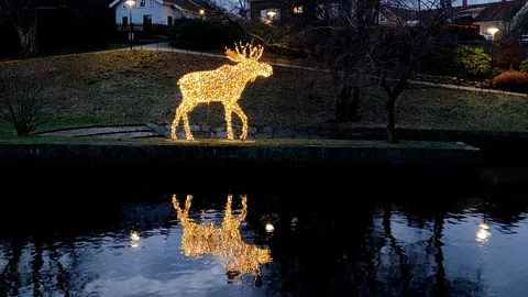 Lighted Christmas Moose Display WIth River Reflection Stock Footage 100032618