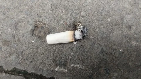 Lighted cigarette butts were thrown on the road Stock Footage 293666827