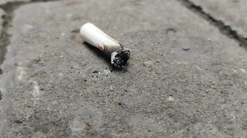 Lighted cigarette butts were thrown on the road 動画素材 293666830