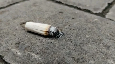 Lighted cigarette butts were thrown on the road 動画素材 293666879