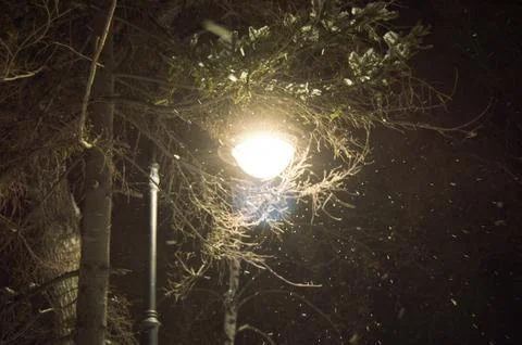 Lighted lantern at night, the snow and trees in winter Park Stock Photos
