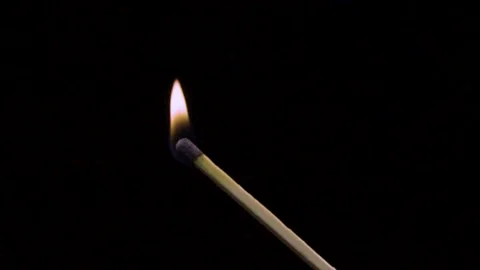 A lighted match burns with smoke on a black background. Concept Stock Footage 142858322