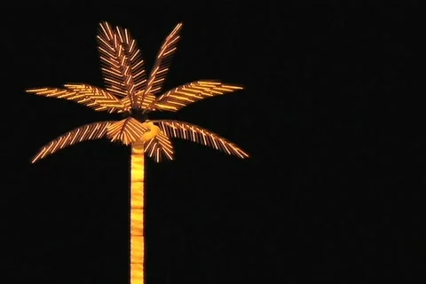 LIGHTED PALM TREE 1 Stock Footage 86736