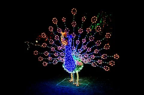 Lighted peacock display Stock Photos