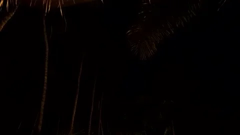 Lightening, Firework in the Palm tree forest at night, Bali, HD Stock Footage 158601386