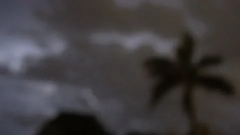 Lightening flashes palm trees Stock Footage 143371166