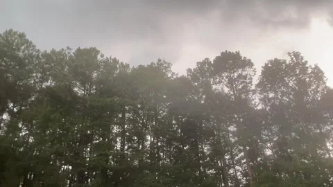 Lightening Strike through tree line Stock Footage 247474232