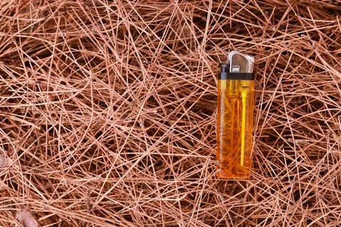Lighter against the background of a pile of pine needles Stock Photos