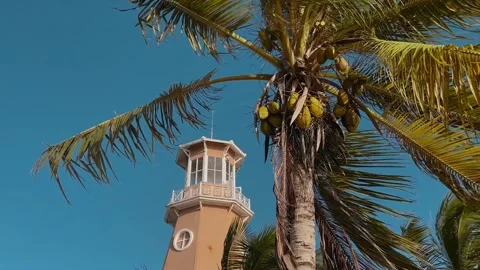 Lighthouse against a clear sky, palm trees with coconuts swaying in the wind in Stockbeeldmateriaal 255485157