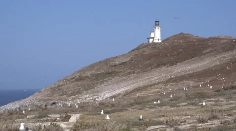Lighthouse in Anacapa island Stock Footage 63597783