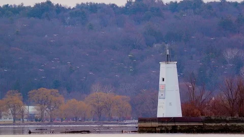 Lighthouse and Birds in Ithaca NY 스톡 동영상 98955177