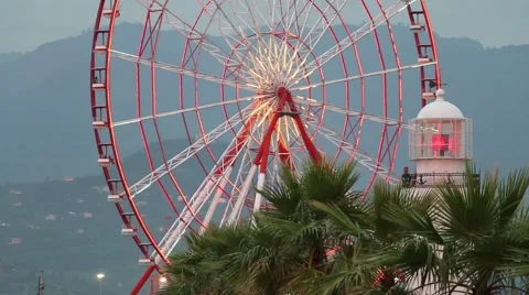 Lighthouse and Ferris wheel and Palms 動画素材 44118477