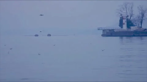 Lighthouse and gulls Stock Footage 50695658