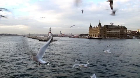 Lighthouse and History Building Vídeo Stock 40050160