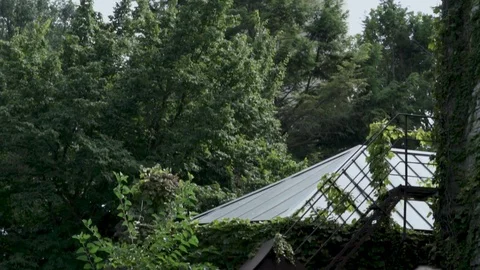 Lighthouse and nature Vidéo 124938981