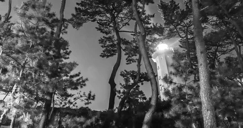 Lighthouse and Pine Black-and-white Nightscape time lapse, Ulsan, South Korea Stock Footage 108129536