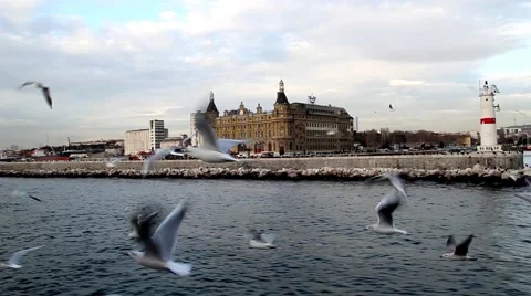 Lighthouse and Seagull Vídeos de archivo 40050225