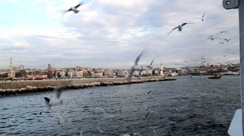Lighthouse and Seagull Vídeos de archivo 40050358