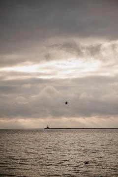 Lighthouse and seagull over calm sea at dawn Stock Photos