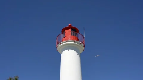 Lighthouse and seagull - slow motion Stock Footage 95937779