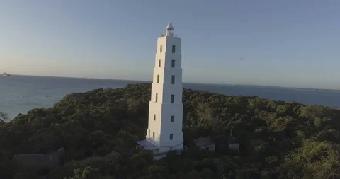 Lighthouse and trees at the sea coast Stock Footage 85772222
