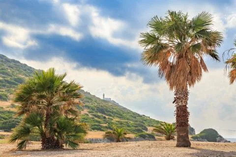 The lighthouse between palm trees in knidos, Datca, Turkey Stock Photos