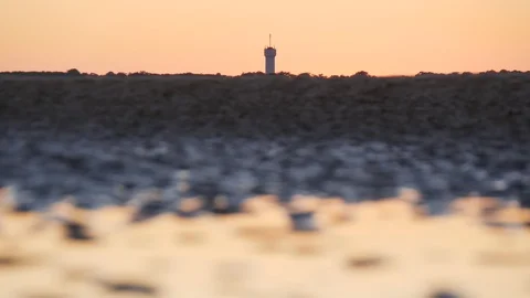 Lighthouse Cap Ferret at sunset Stock Footage 96078595