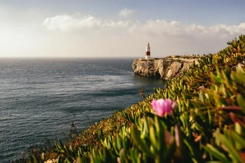 Lighthouse on cliff in background next to ocean Stock Photos