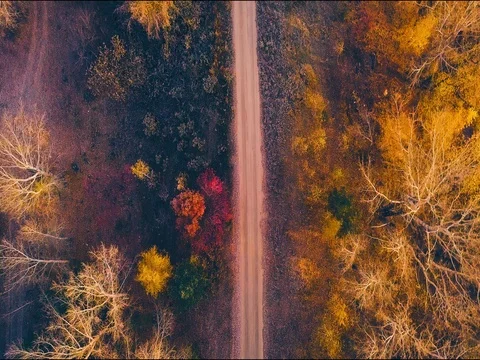 Lighthouse at dawn Stock Footage 81121300