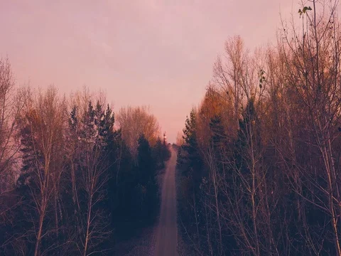 Lighthouse at dawn Stock Footage 81122227