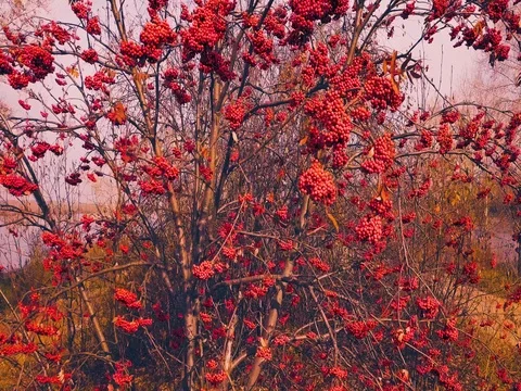 Lighthouse at dawn Stock Footage 81128998