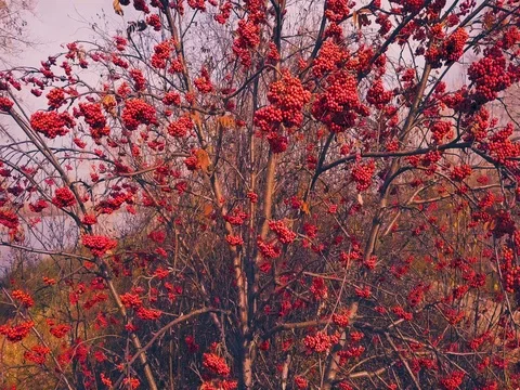 Lighthouse at dawn Stock Footage 81130396