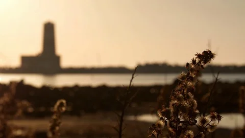 Lighthouse in the distance out of focus at sunset with plants in foreground Stock Footage 98252969