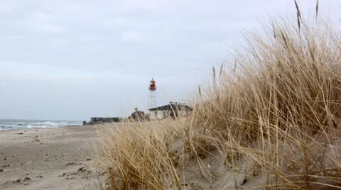 Lighthouse in the dunes Stock Footage 35505605