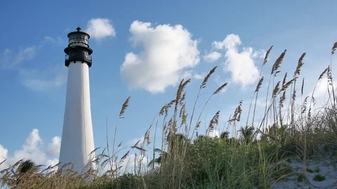 Lighthouse Stock Footage 77721102