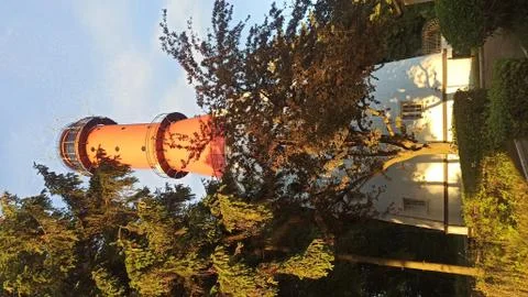 Lighthouse in the highest point in the middle of forest. Stock Photos
