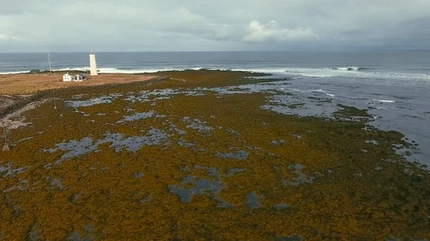 Lighthouse in Iceland. Drone video. Stock Footage 119996478