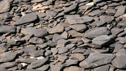 The lighthouse Långe Jan is located on Öland in Sweden. Stock Footage 219550757