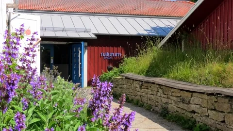 The lighthouse Långe Jan is located on Öland in Sweden. Video stock 219552944