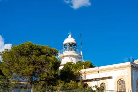 Lighthouse lantern above pine trees under deep blue sky 스톡 사진