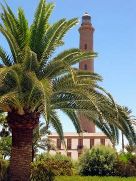 Lighthouse of Maspalomas with palm tree in front. Gran Canaria isle. Stock Photos
