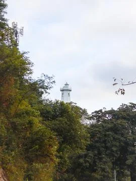 Lighthouse in the middle of the forest on the hillside. Stock Photos