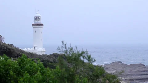 Lighthouse MS 002 Video stock 170344500