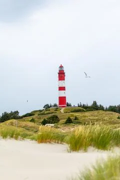The lighthouse, painted in bold red and white stripes, overlooks sandy dunes  Stock Photos