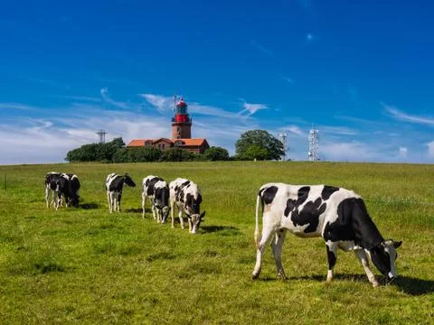 Lighthouse Stock Photos
