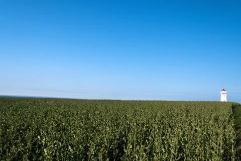 Lighthouse Stock Photos