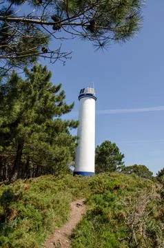 Lighthouse in pine forest with solar panels under clear blue sky Stock Photos
