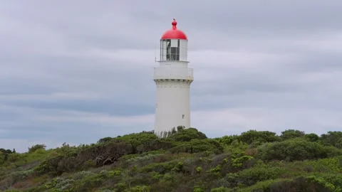 Lighthouse poking through bushes Stock Footage 295079955